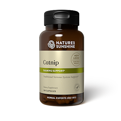bottle of encapsulated herbs of Catnip