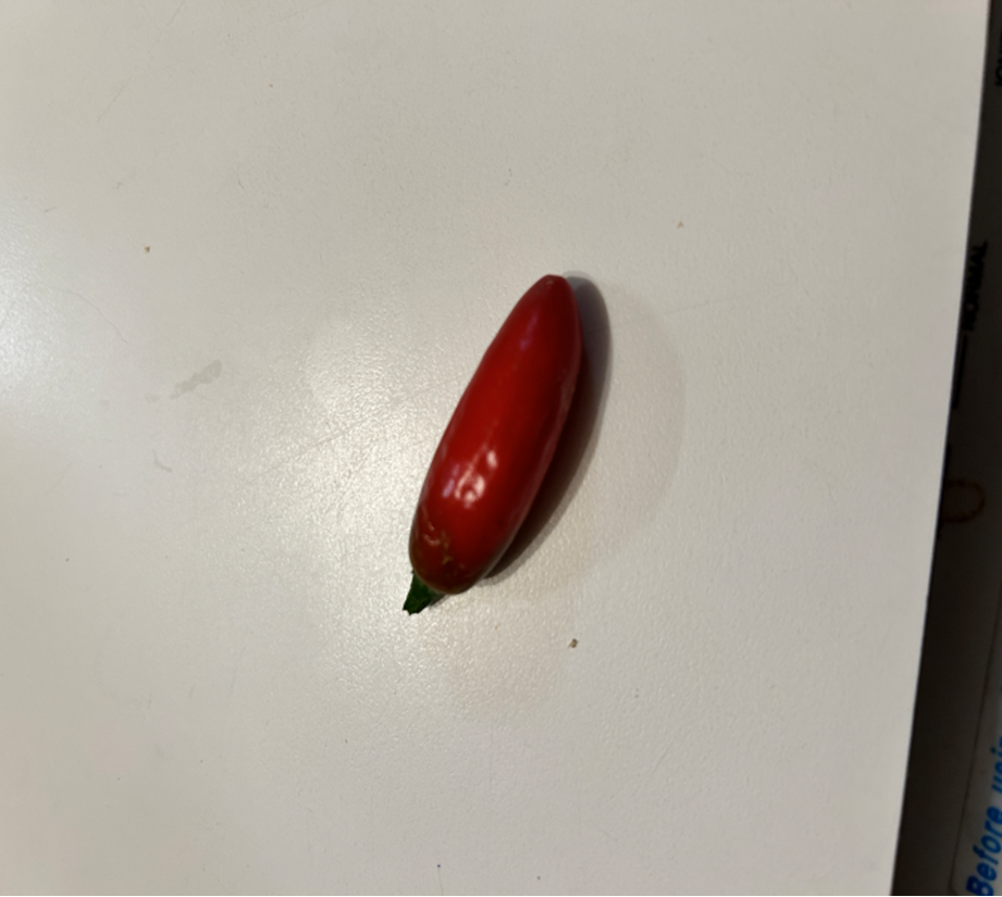 one little red pepper
