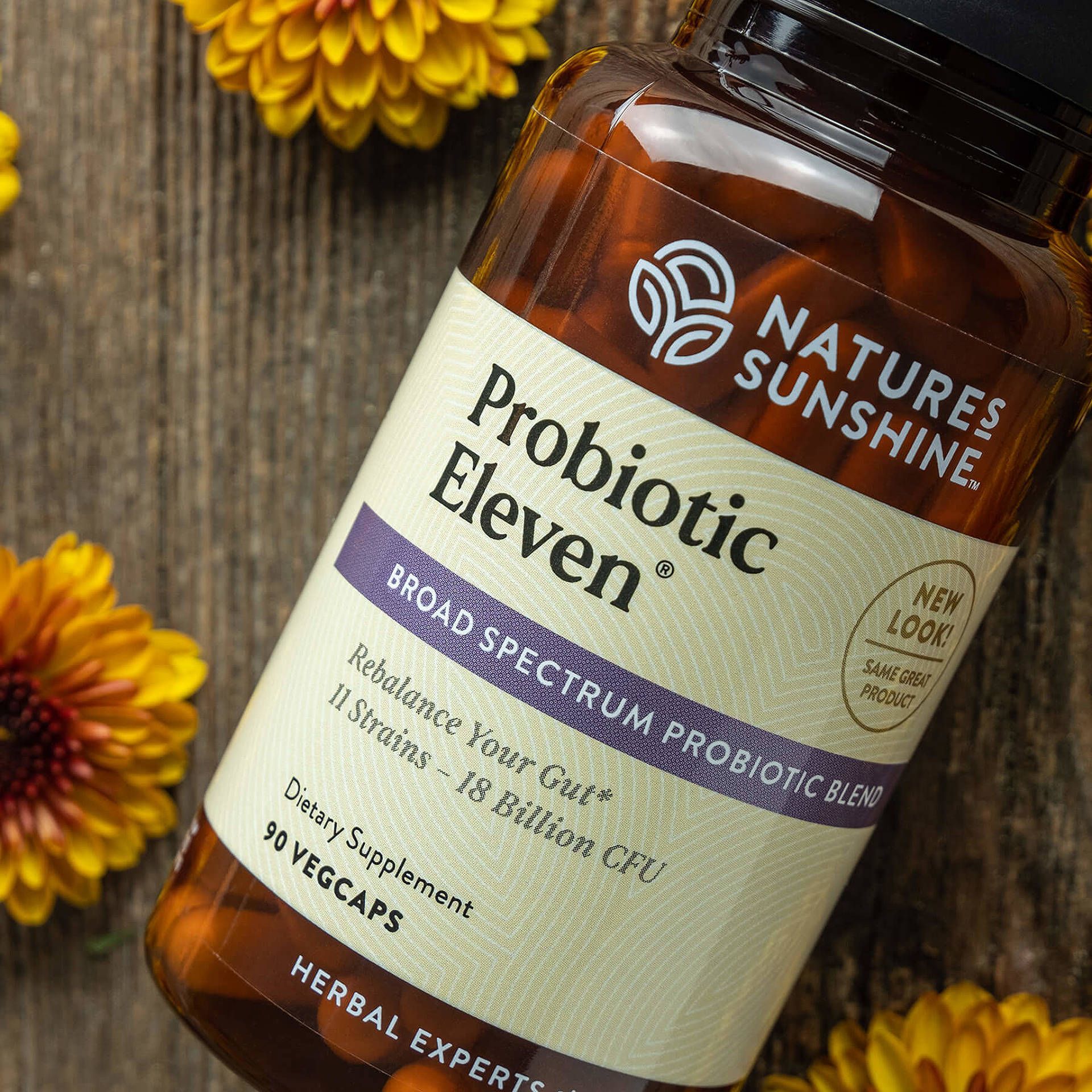 11 potent strains of friendly, rebalancing bacteria.