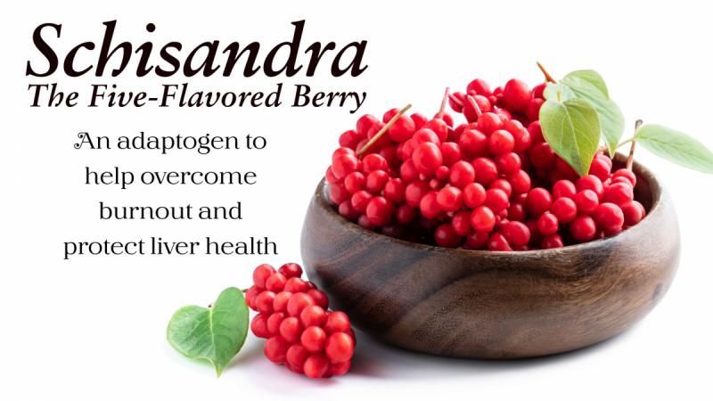 Lil Bit of Education      Not Shazam!! but..... SCHISANDRA!!