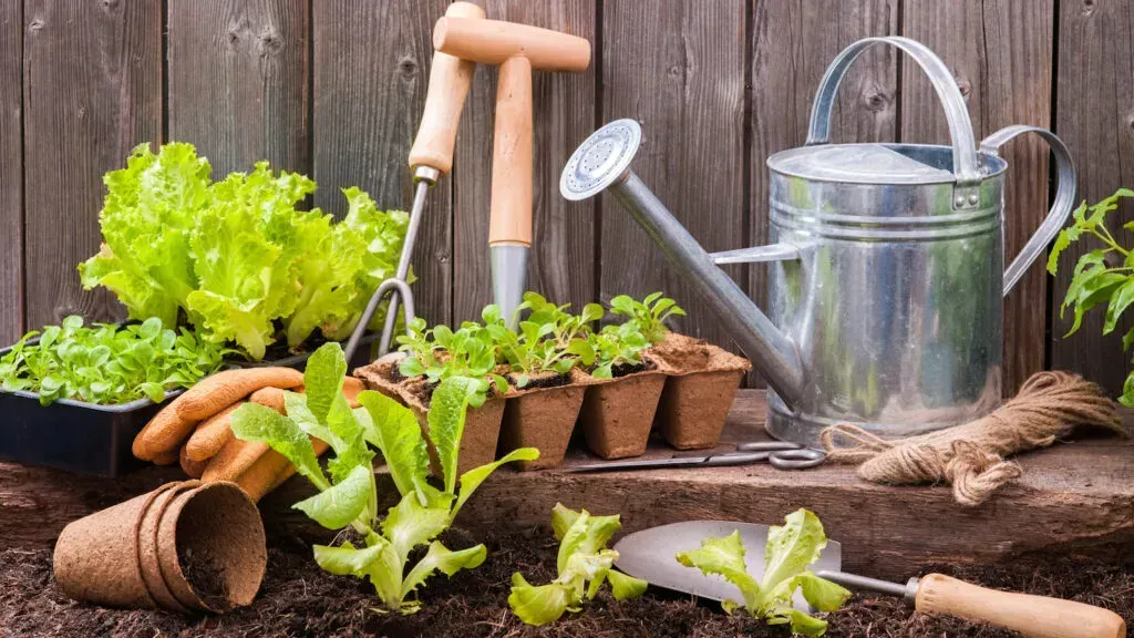 gardening tools; plants; watering can