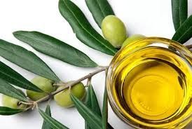 green leaves with green olives laying along with a small bowl of oil