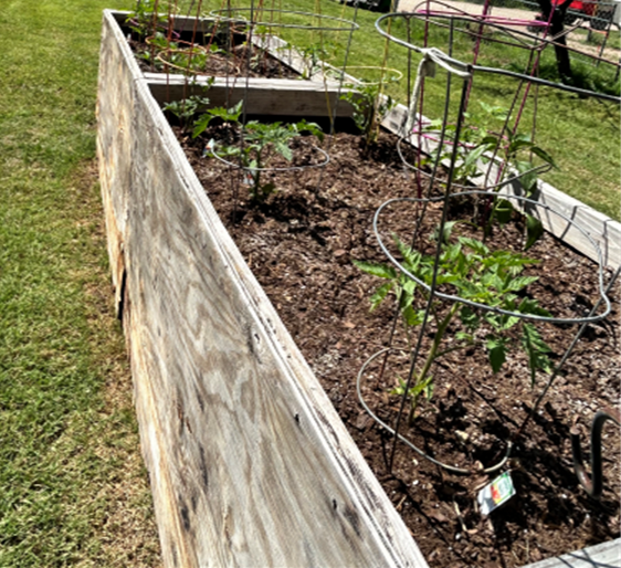 Garden Box