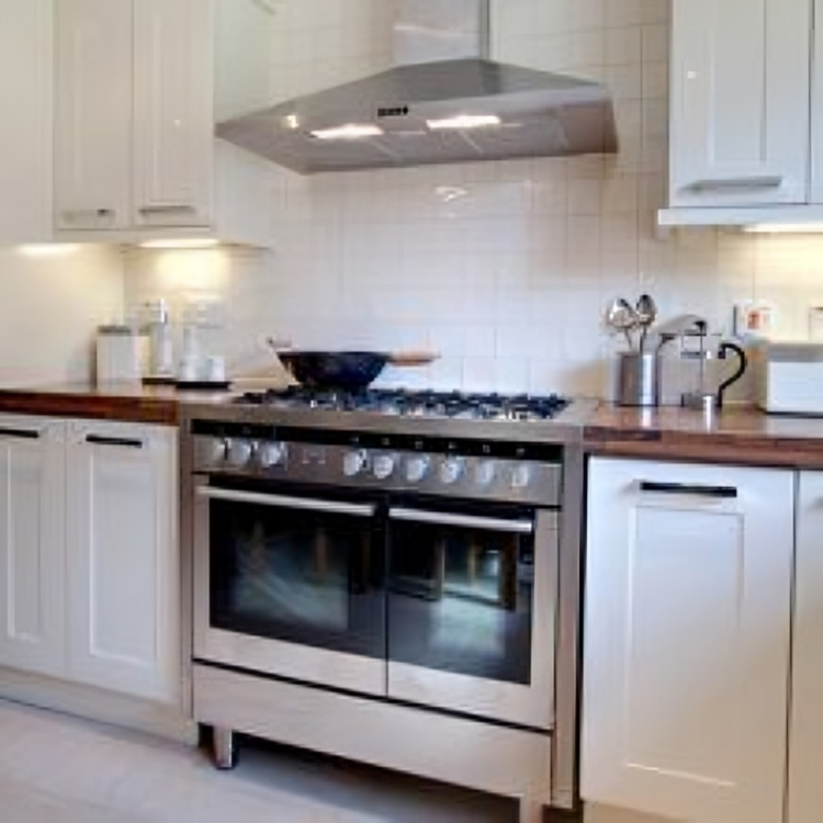 Stainless steel oven and stove in a white kitchen with a range hood and white cabinets.