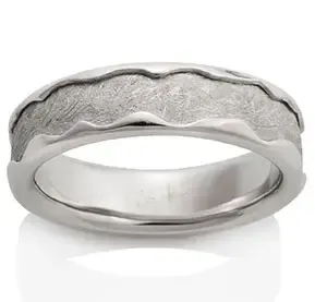 Meteorite