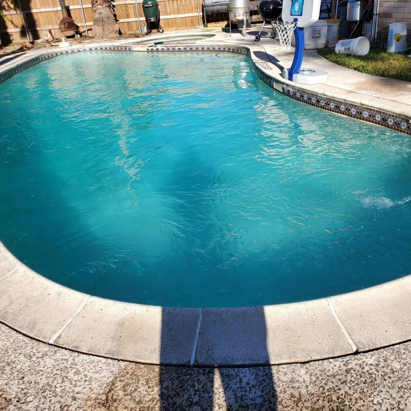 Backyard swimming pool with clear blue water and stone coping in bright sunlight