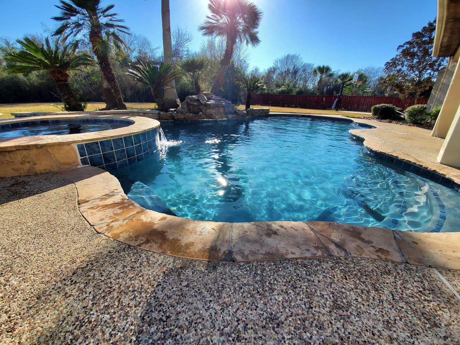Backyard swimming pool with clear blue water, stone deck, and palm trees in bright sunlight