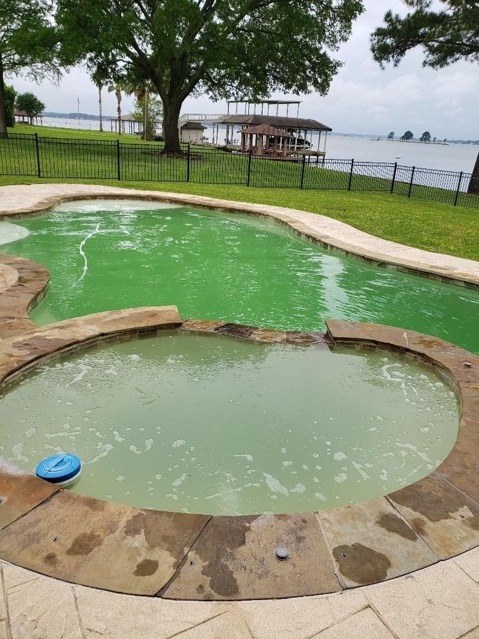 Concrete pool with murky green water beside a grassy waterfront and trees under an overcast sky