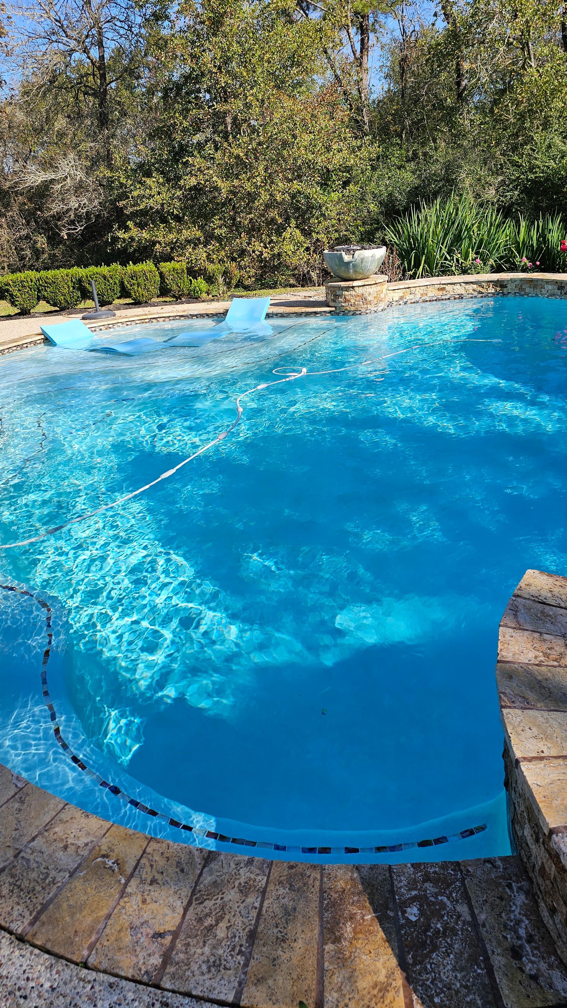 Curved blue swimming pool beside a stone deck, with trees and greenery in the background.
