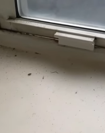 stop window drafts
