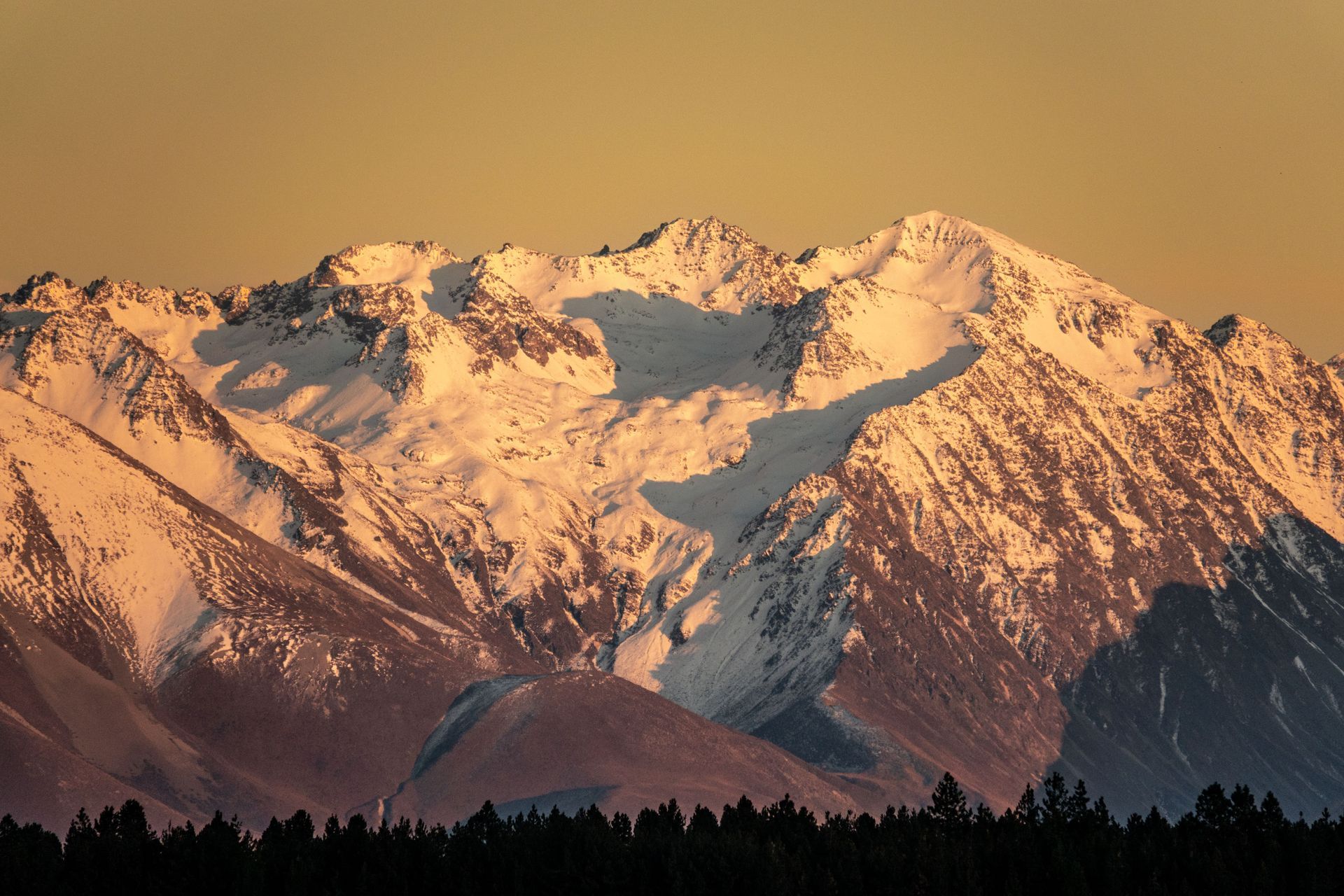 A snowy mountain with trees in the foreground