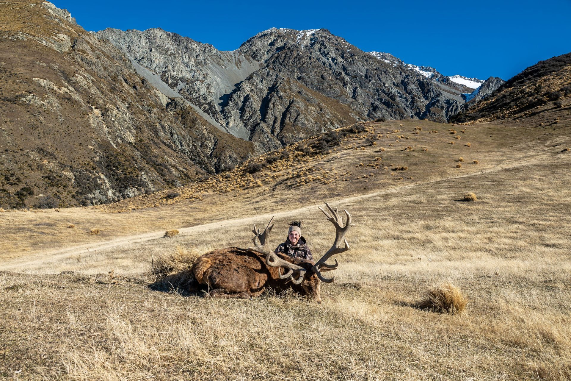 Rival Hunts NZ