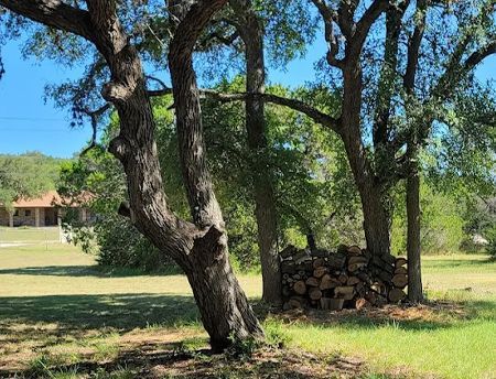 Trees frame a pile of firewood on a grassy lawn; a house is in the background on a sunny day.