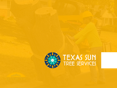 Texas Sun Tree Services logo with worker trimming a tree, yellow background.