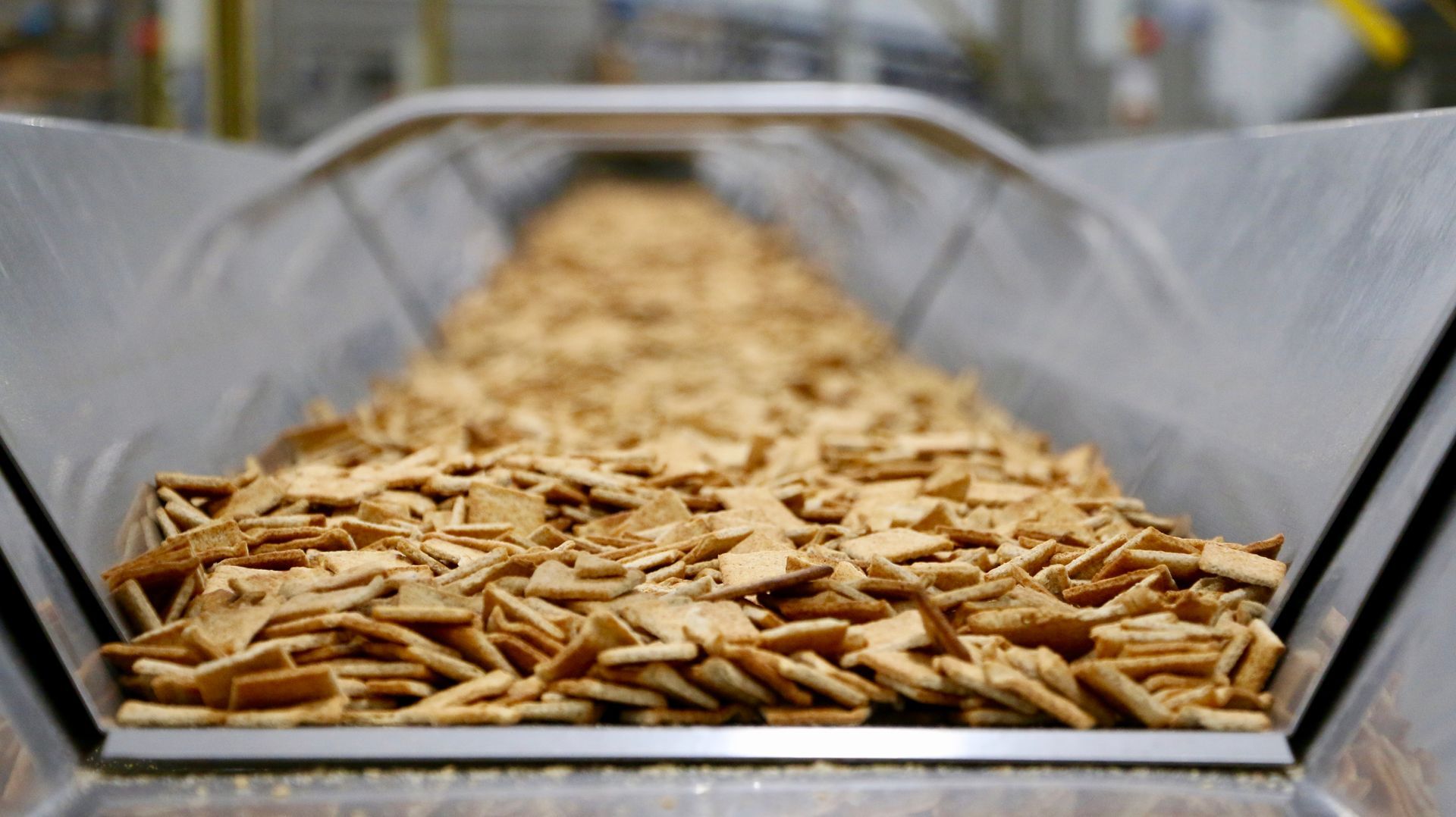 Whole grain wheat crackers on a production line.