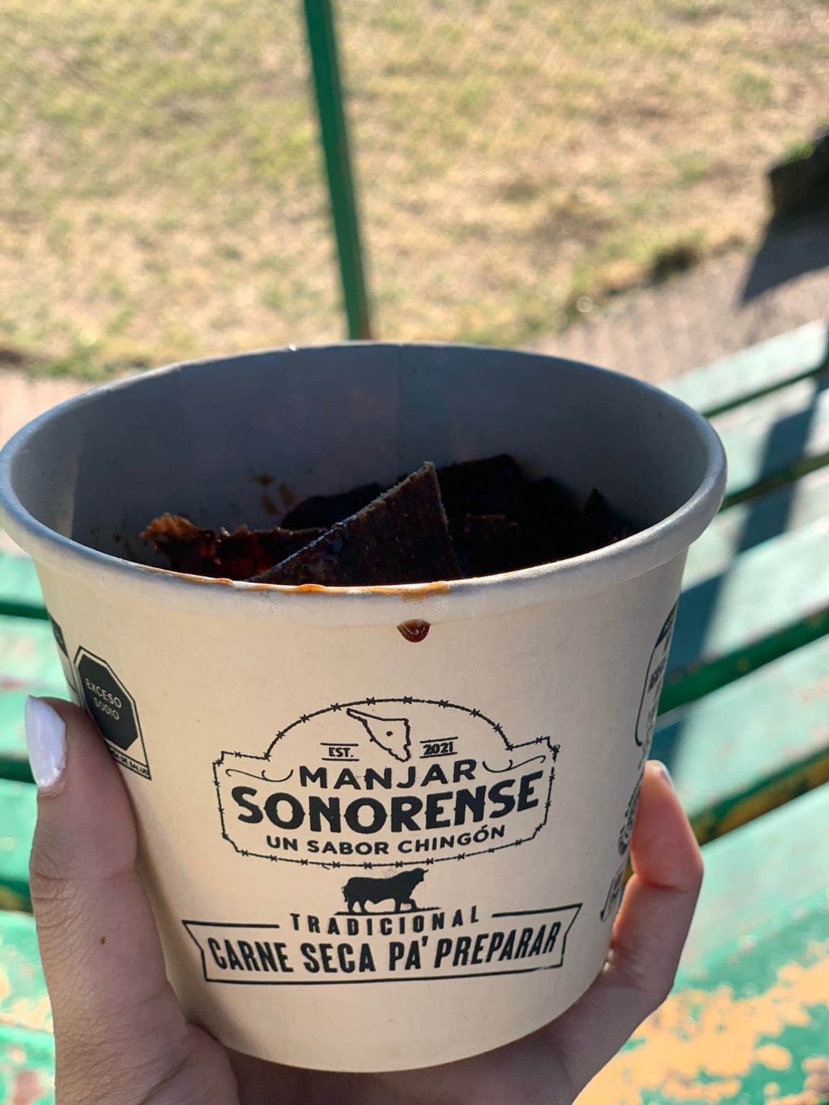 MANJAR SONORENSE