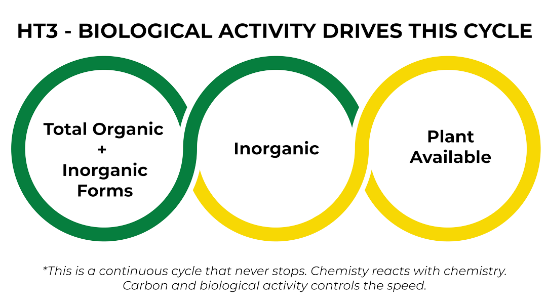 biological activity cycle