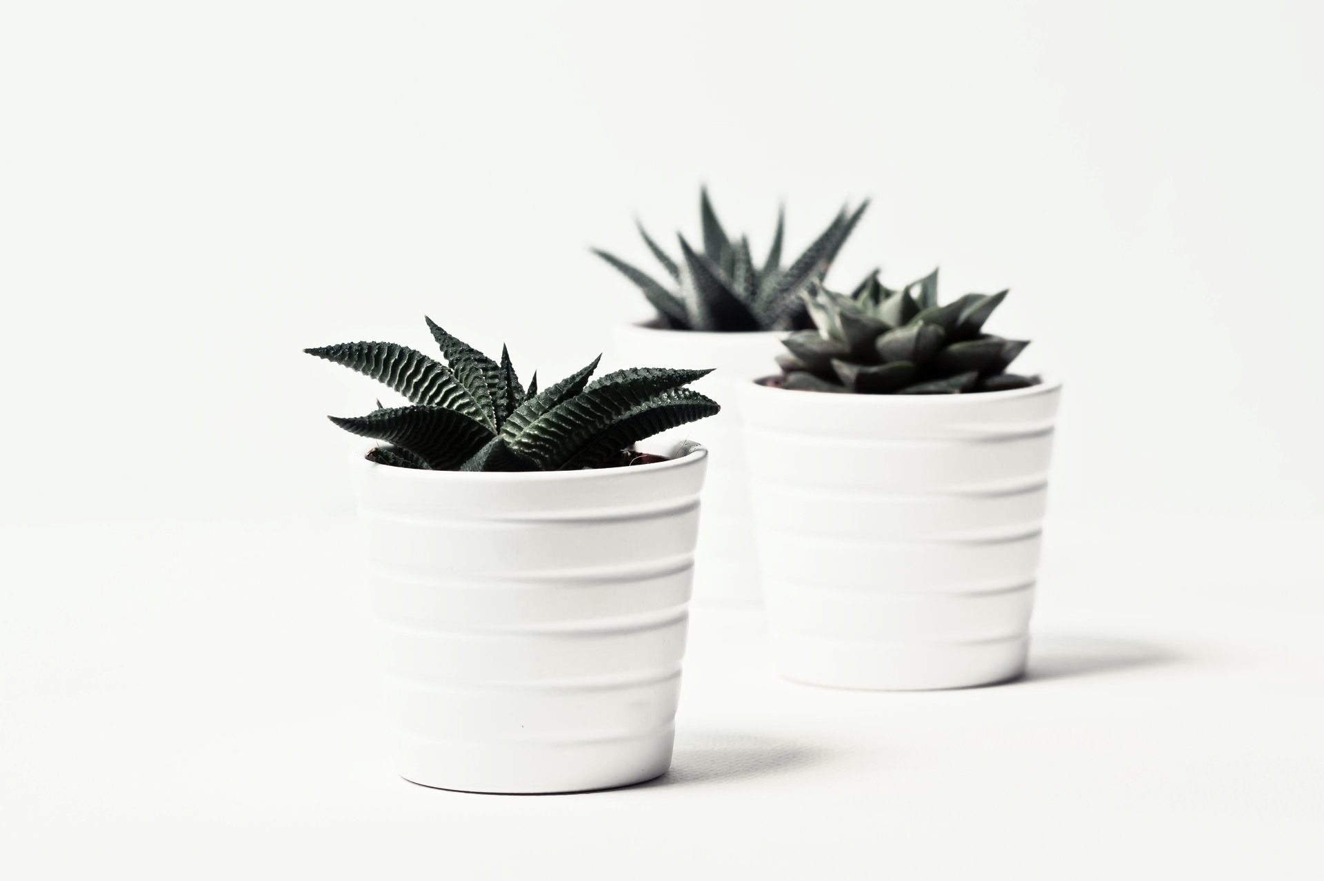 Decoración y organización