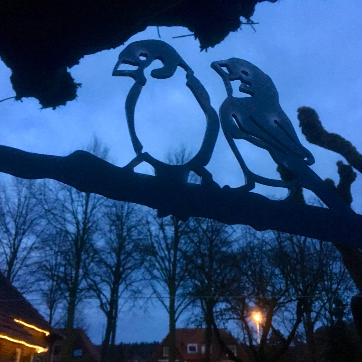 Twee vogels zitten 's nachts op een boomtak