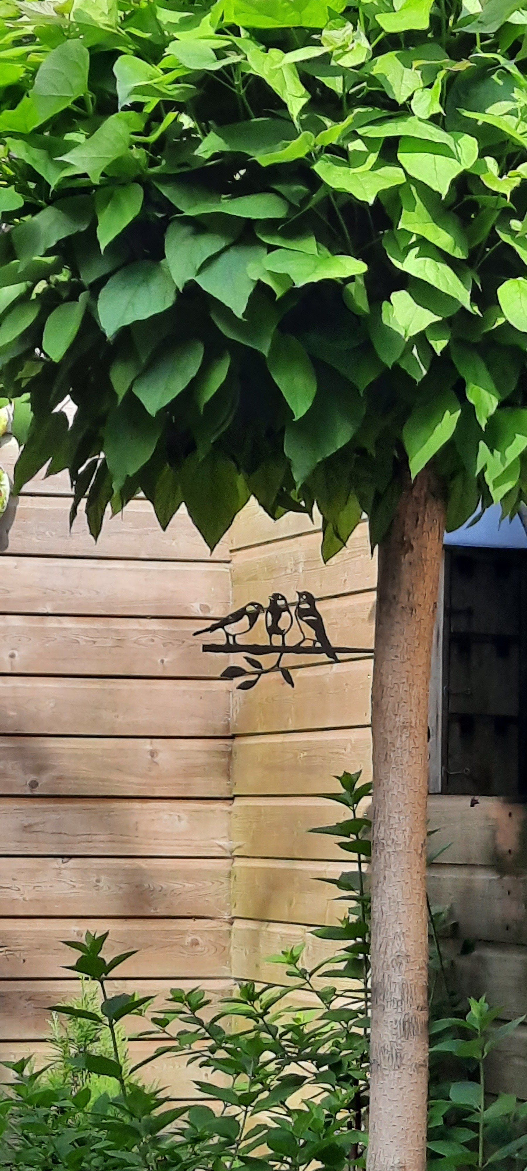 Een paar vogels zitten op een tak onder een boom.