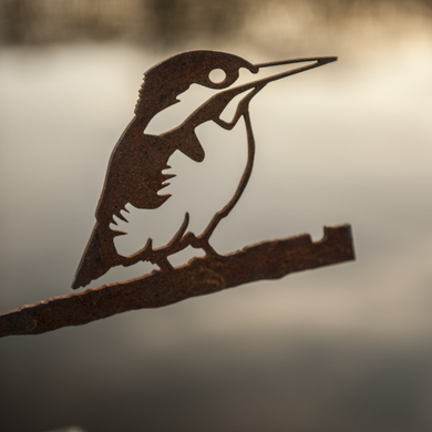 IJsvogel