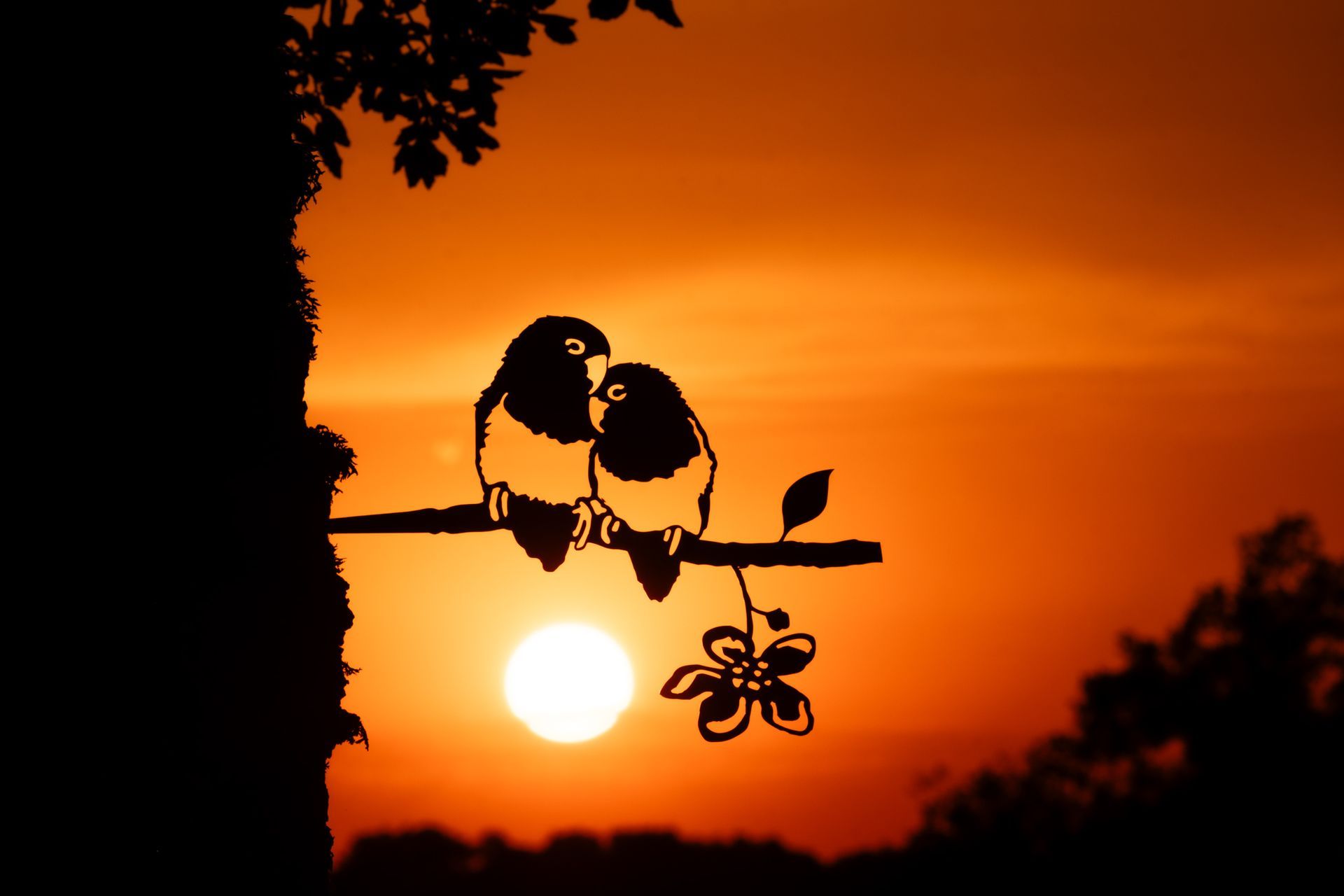 Silhouetten van vogels op een tak, oranje achtergrond met zonsondergang.