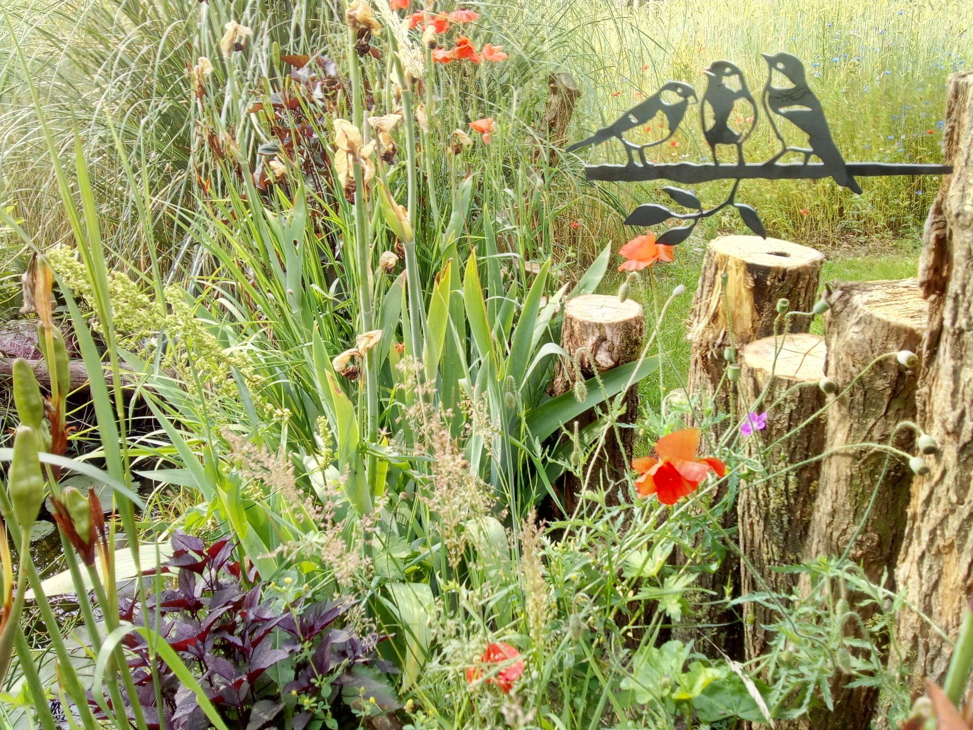 Een tuin met bloemen en silhouetten van vogels op een tak.