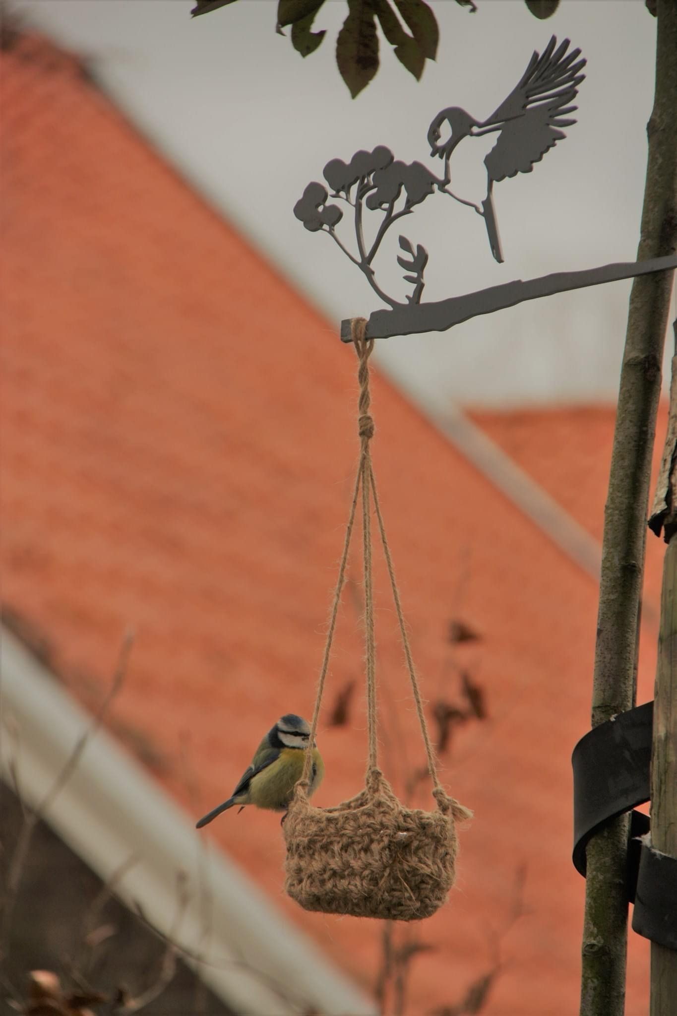 Twee vogels zitten op een voederbak die aan een boom hangt