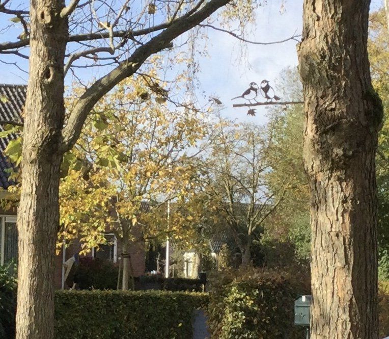 Een paar vogels zitten op een tak in een boom