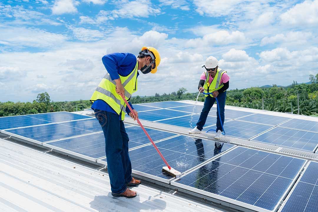 solar panel cleaning