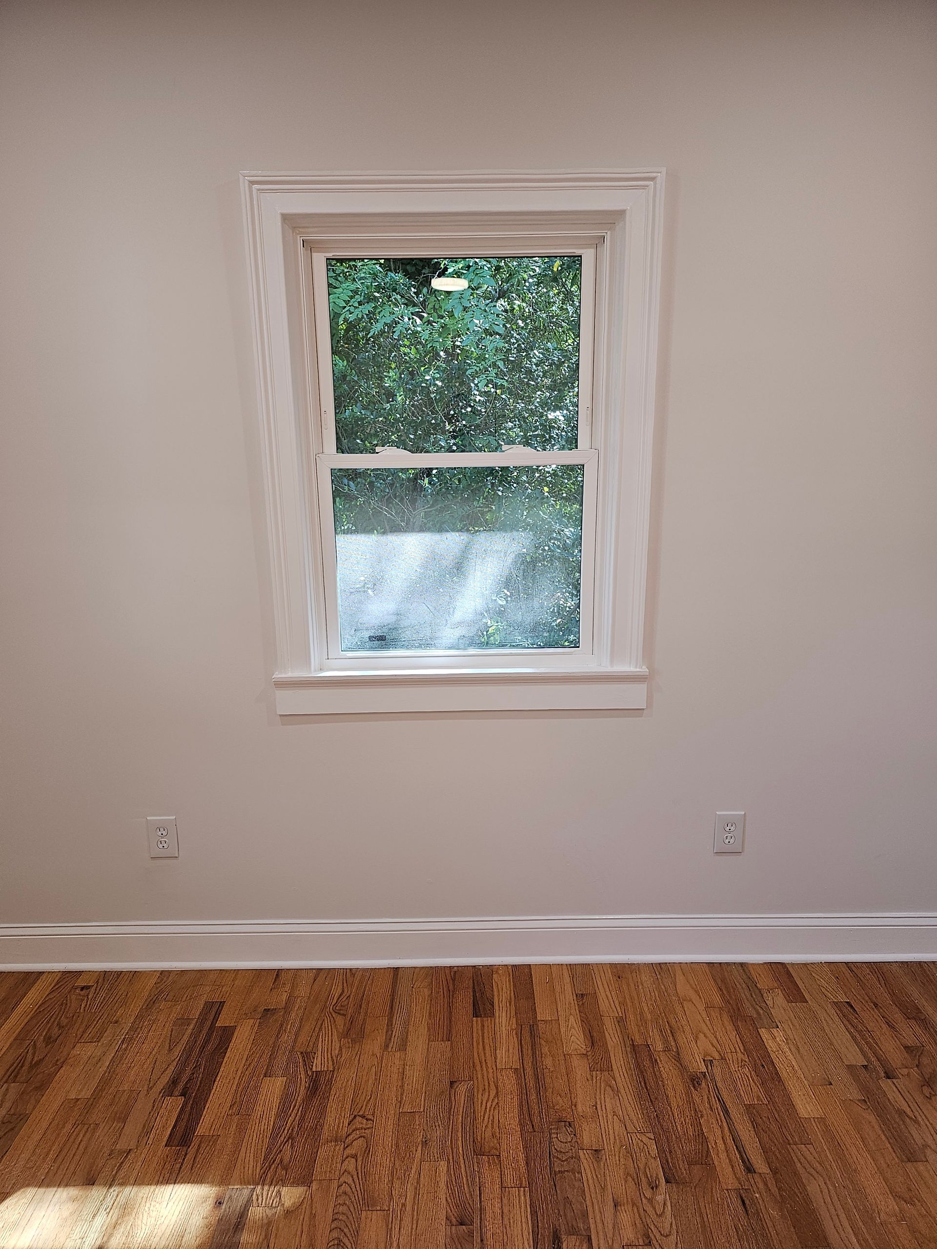 Window in a room with light-colored walls and a wood floor. View outside the window is of green foliage.