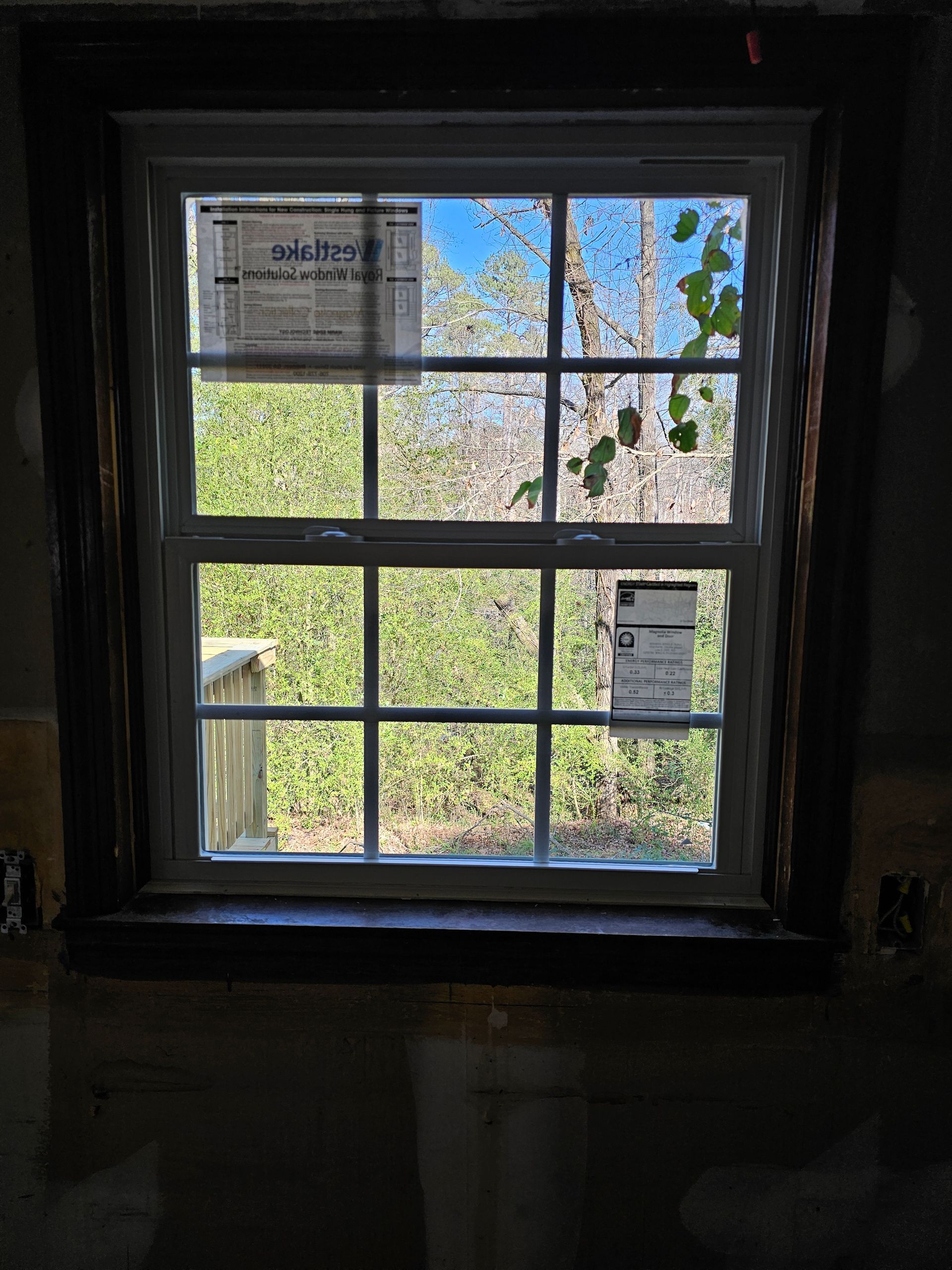 Window with dark brown trim, looking out onto trees and sky.