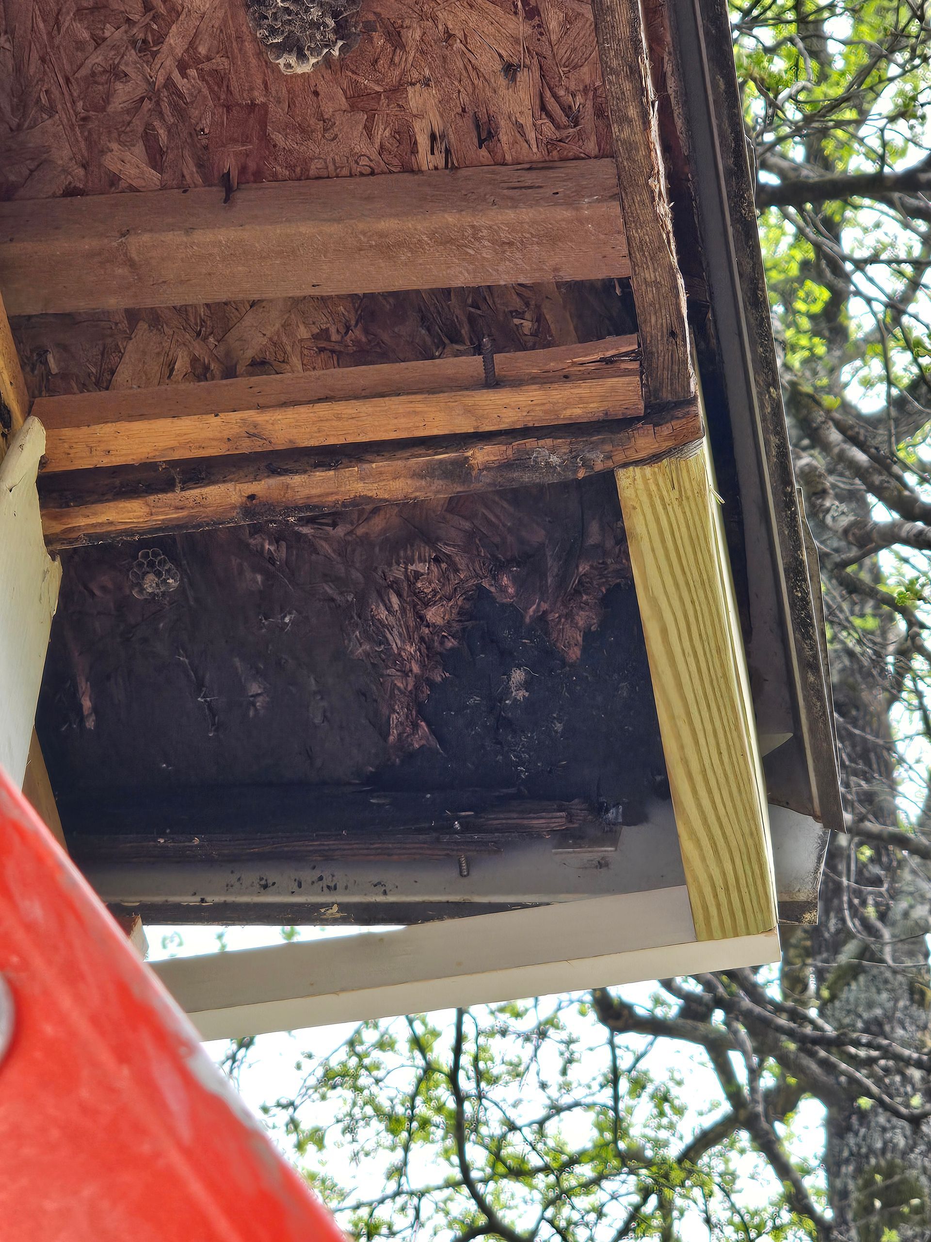 Underside of a roof eave showing damaged wood, possibly water damage, with a ladder in the foreground.
