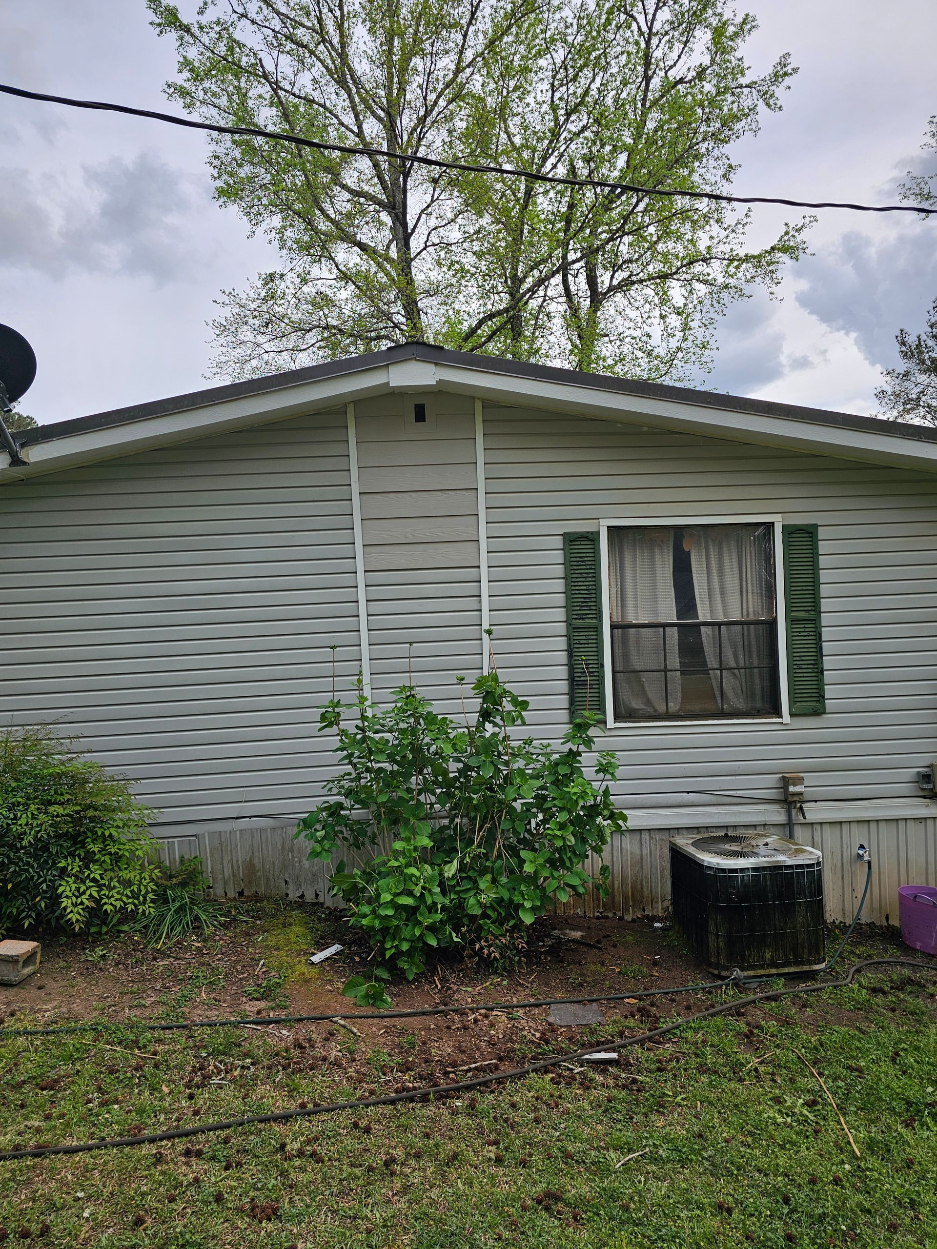 Side view of a house with white siding, window with green shutters, and a small green bush.