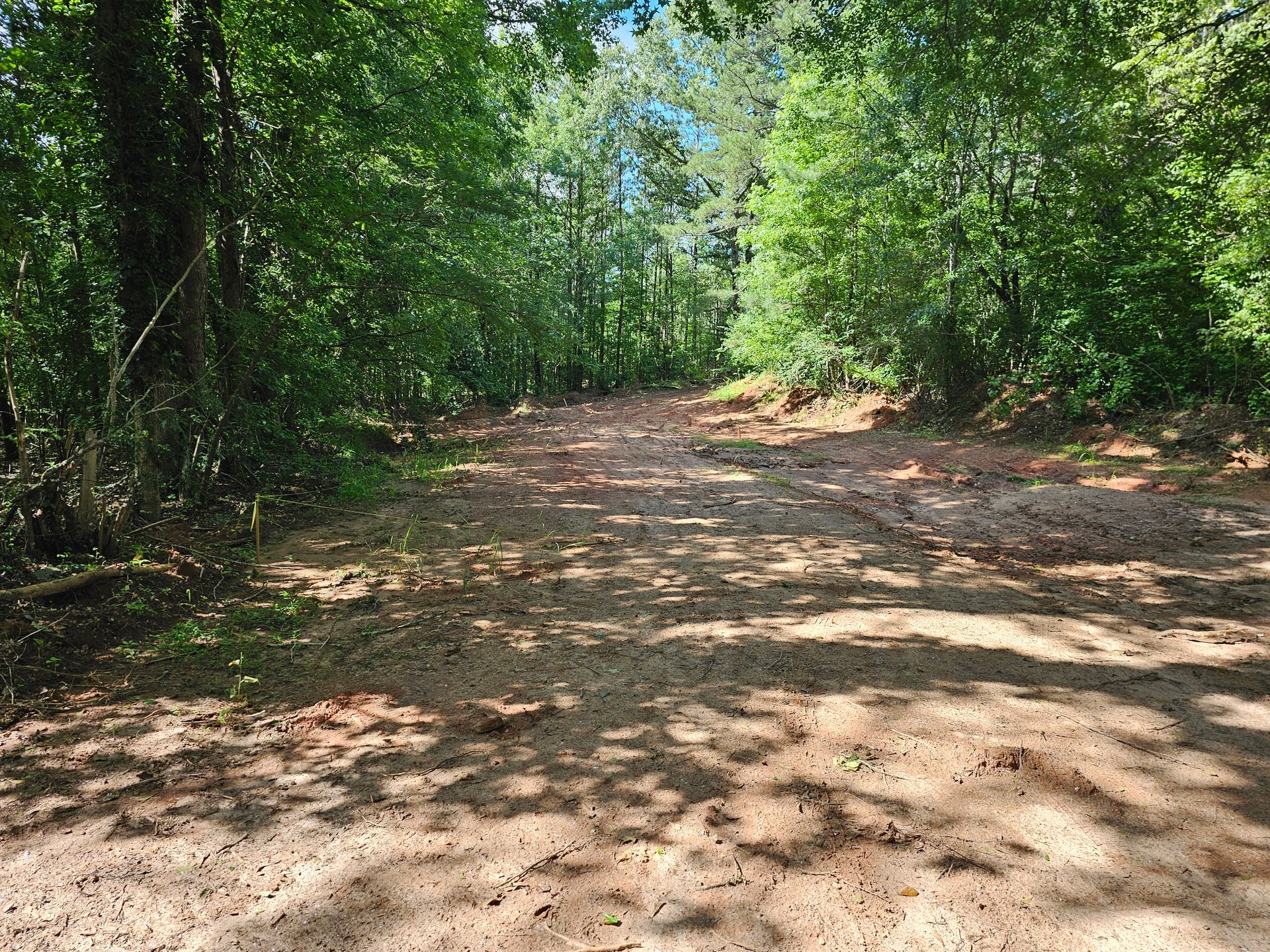 Dirt road through a forest; trees line the sides. Sunlight casts shadows on the ground.