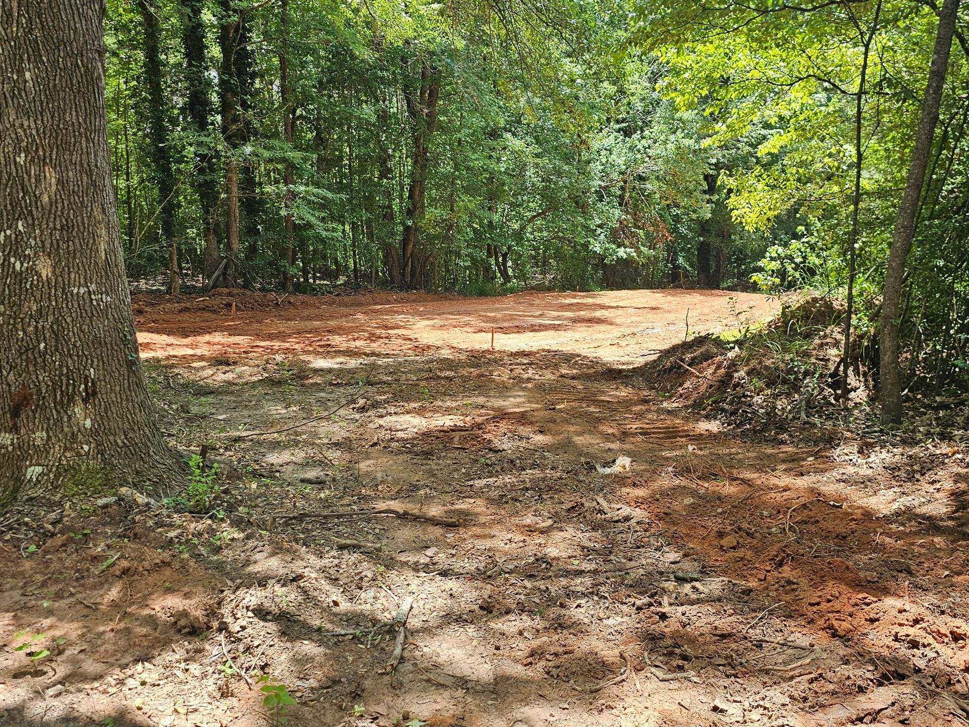 Cleared area of dirt and mulch in a wooded environment with surrounding trees.