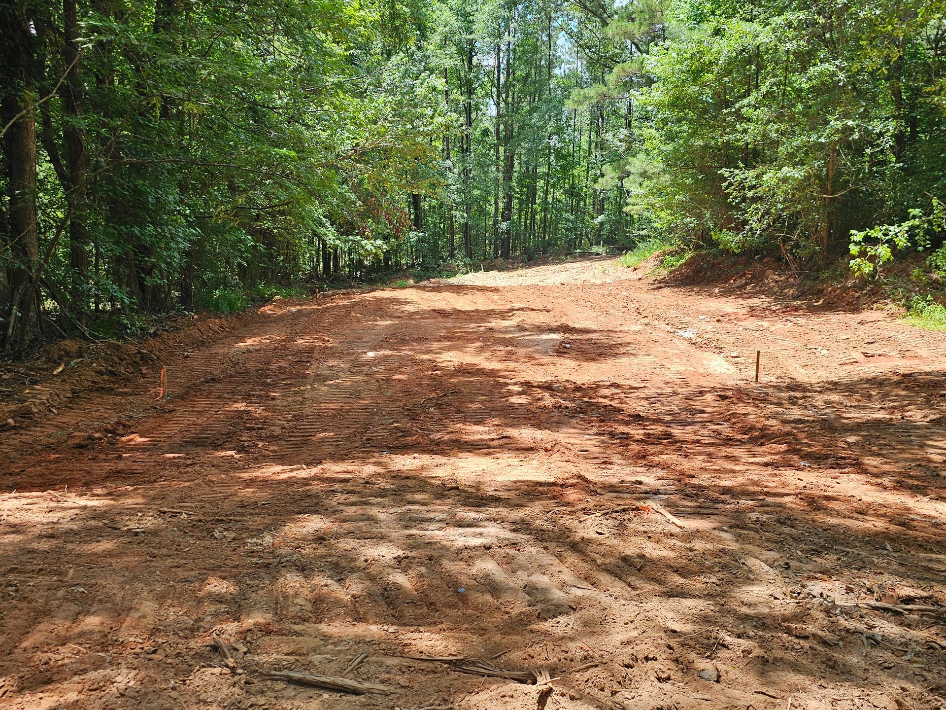 Dirt road cleared through a forest, sunlight casting shadows.
