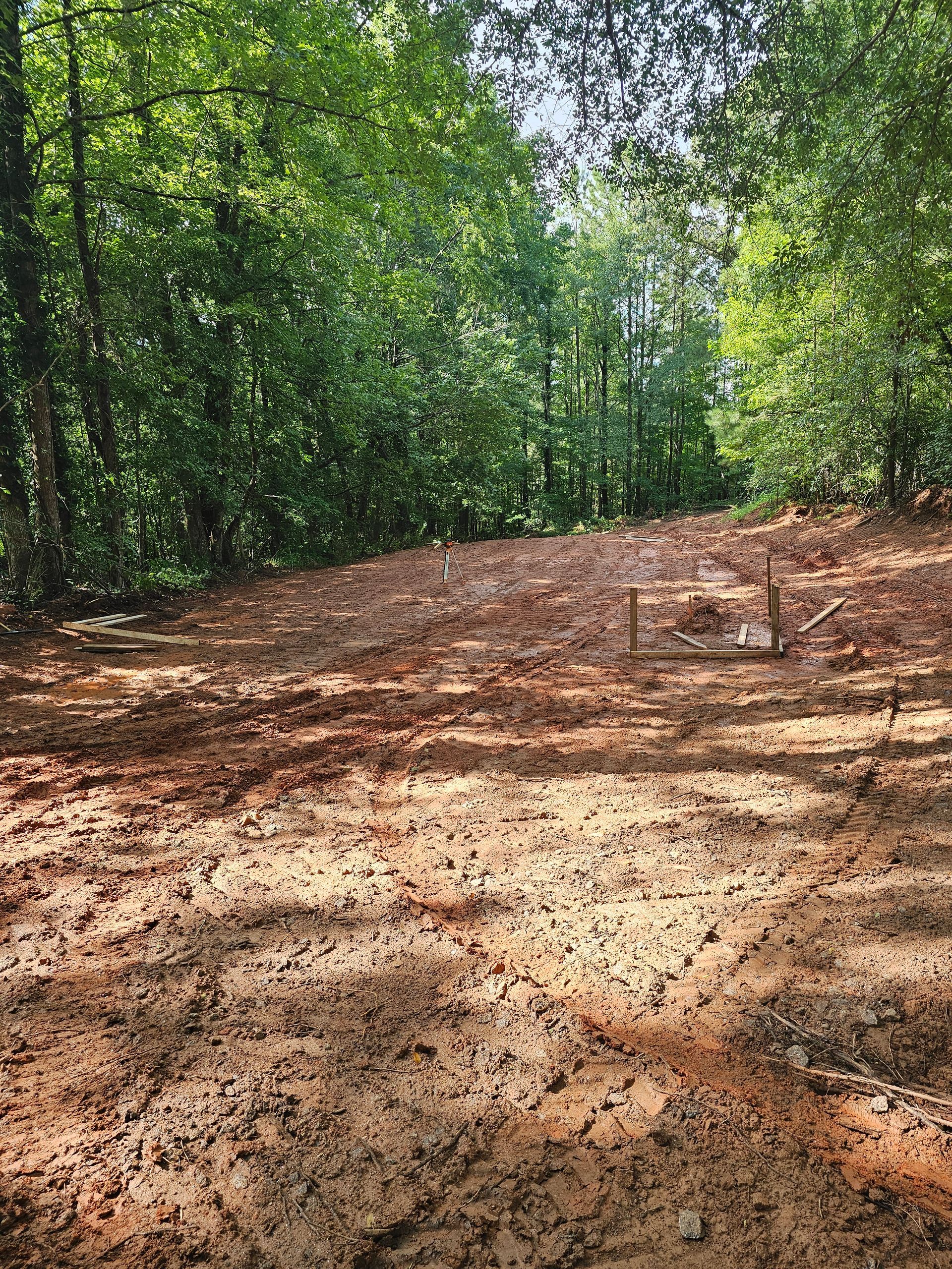 Dirt clearing in a wooded area; trees in the background, sunlight casting shadows.