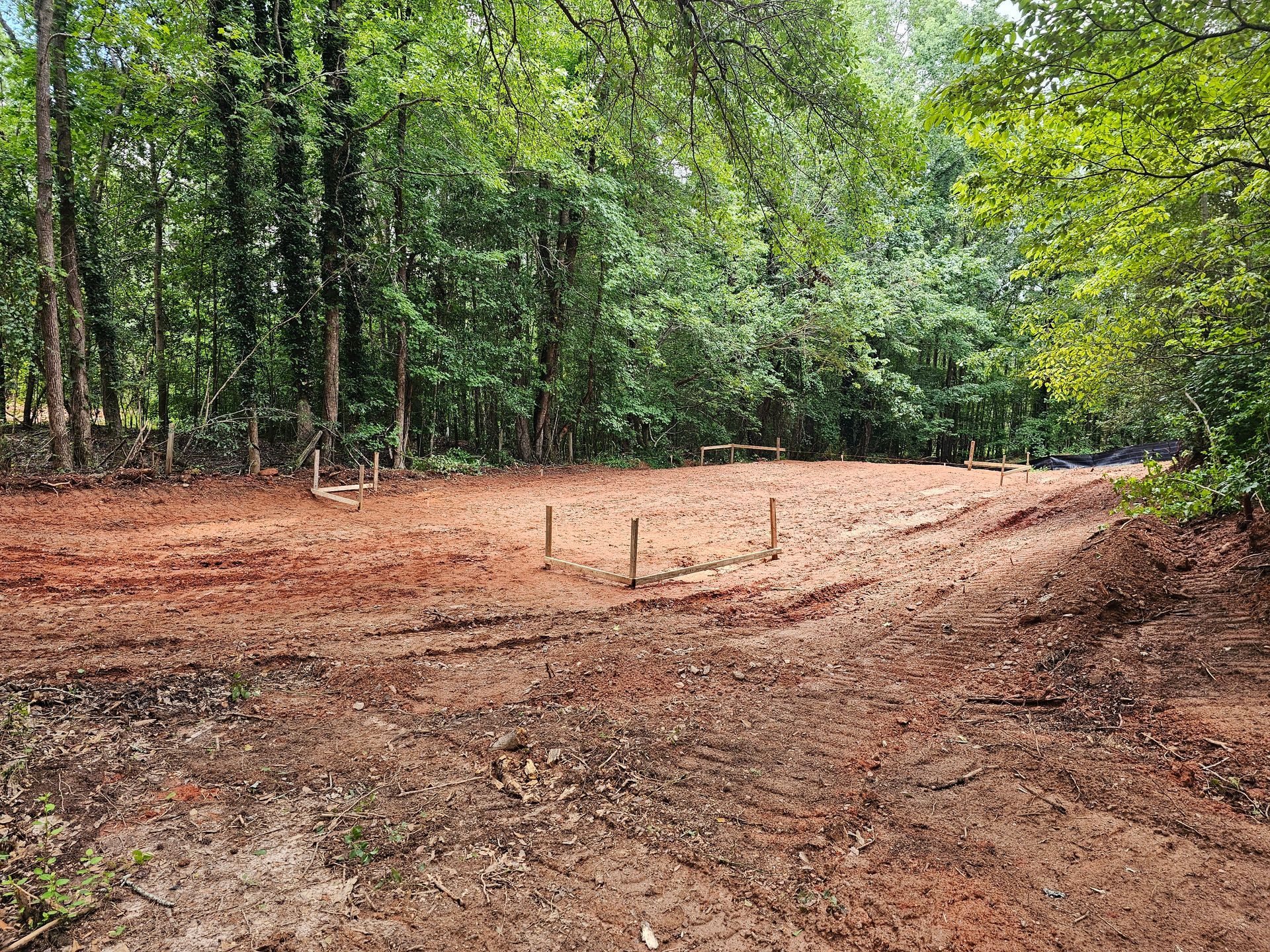 Cleared red dirt area in a forest, with small wooden stakes.