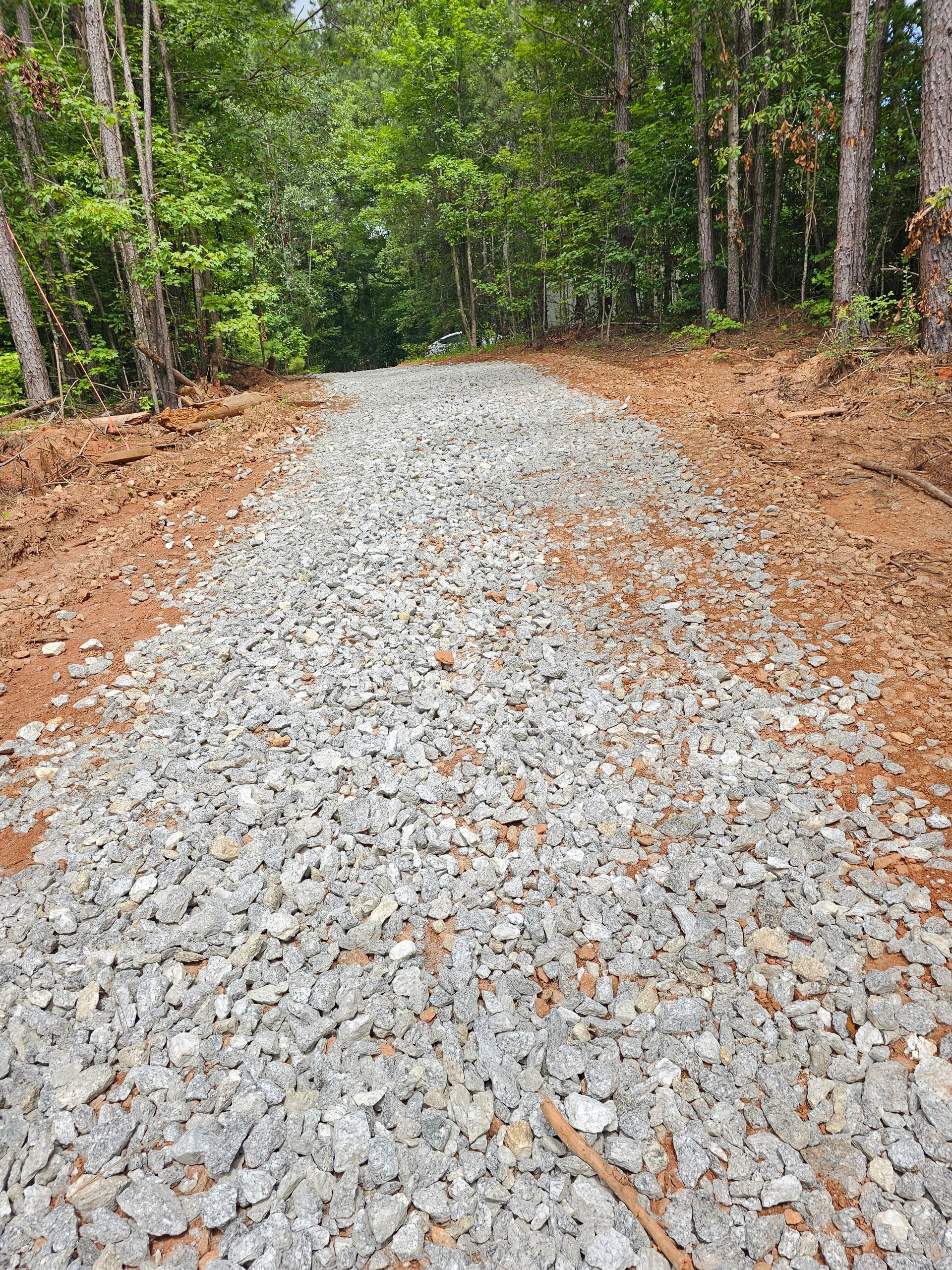 Gravel driveway through a forest with trees on both sides and dirt borders.