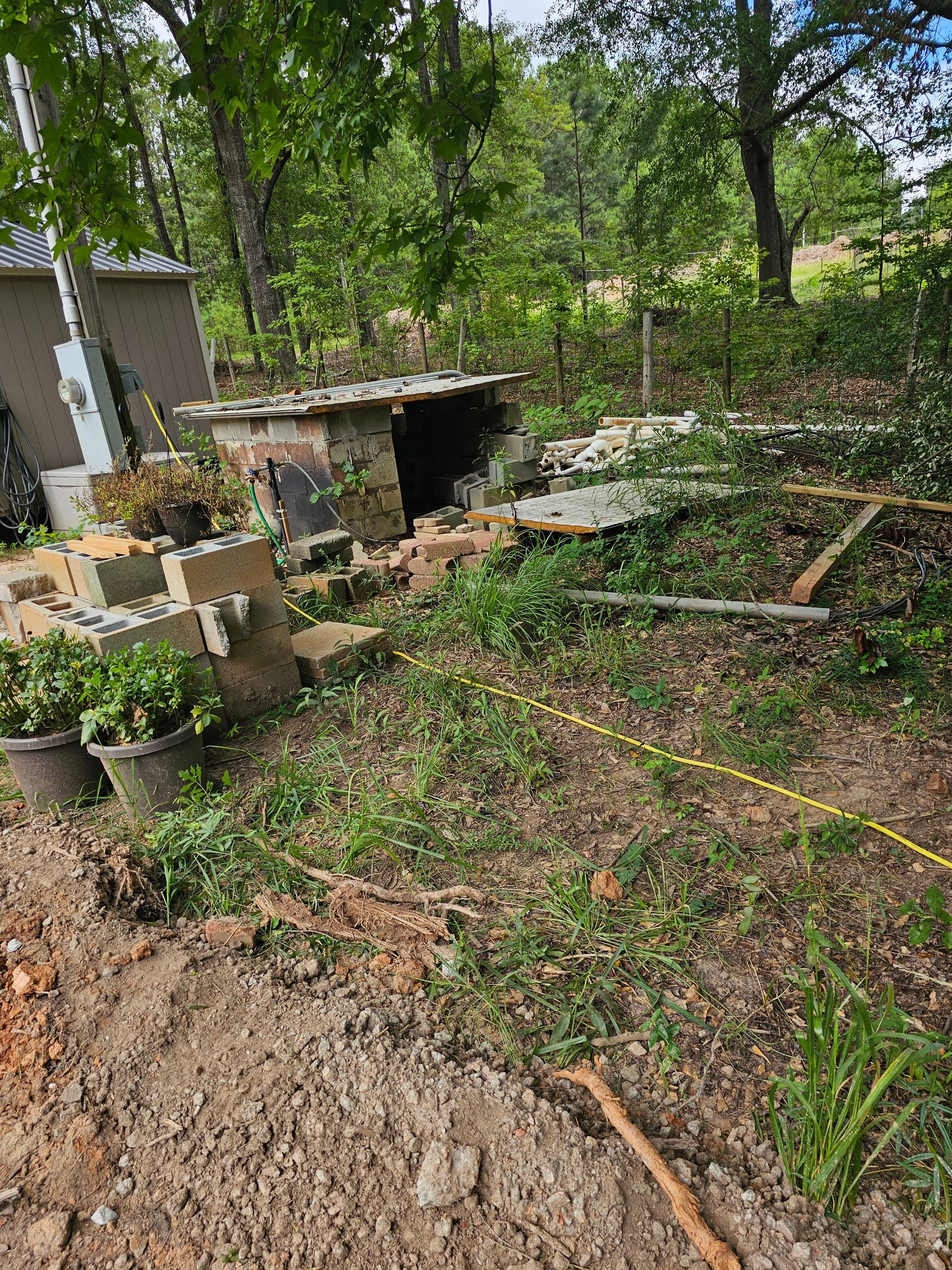 Messy yard with concrete structures, overgrown vegetation, and a utility box under a green canopy.