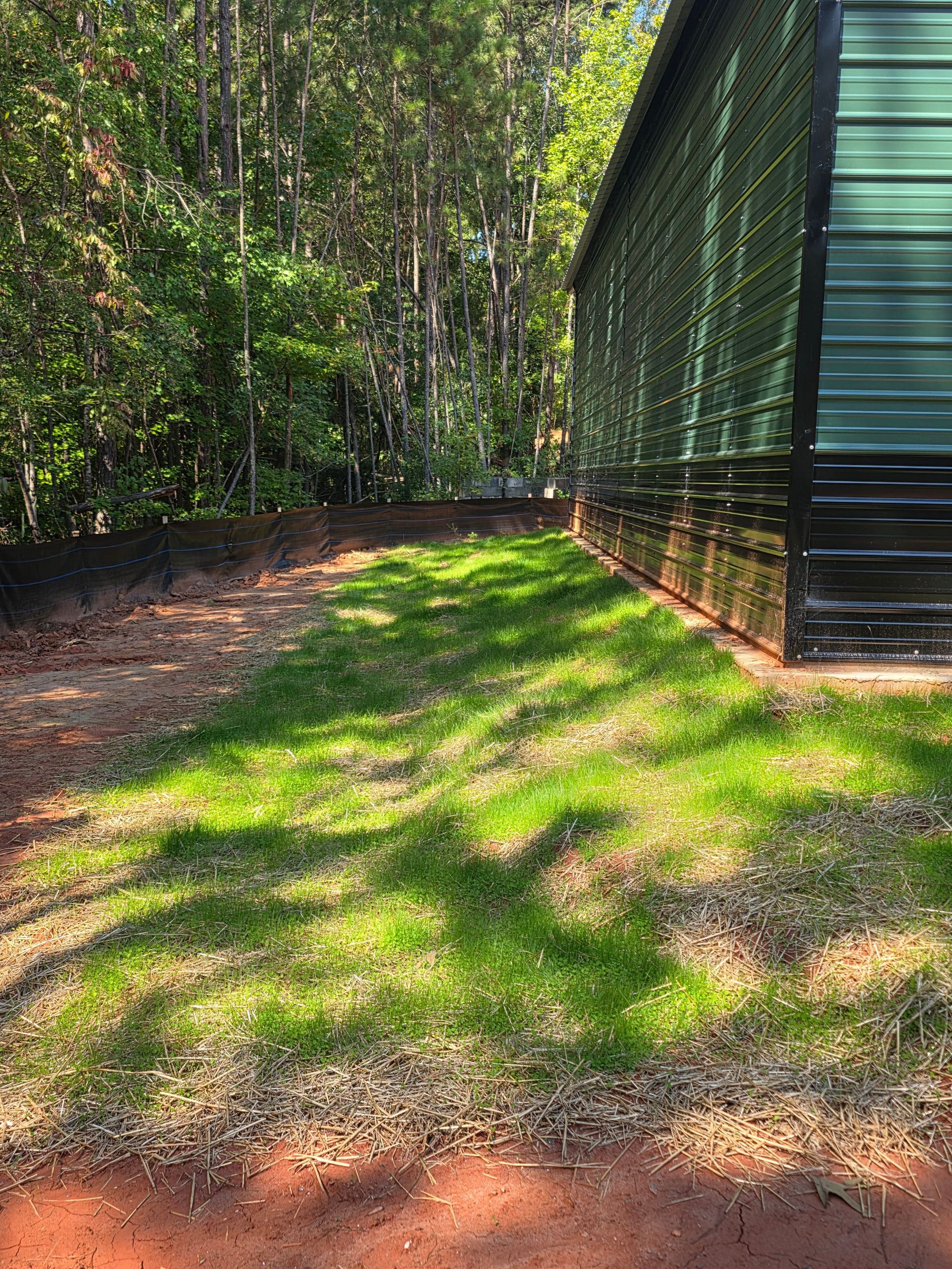 Green grass next to a green metal building, surrounded by dirt and trees.