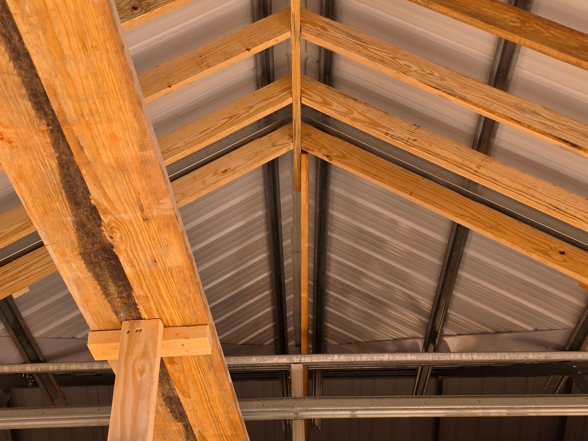 Wooden rafters and metal roofing in the process of construction.