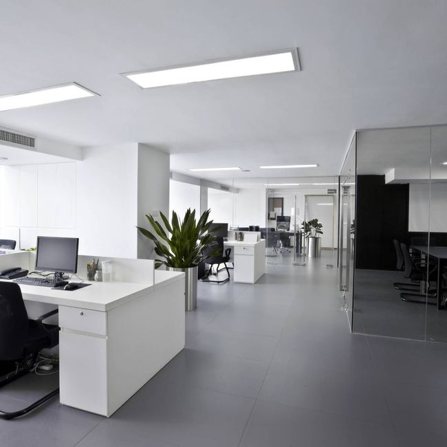 Modern office interior with white desks, gray floor, and plants.