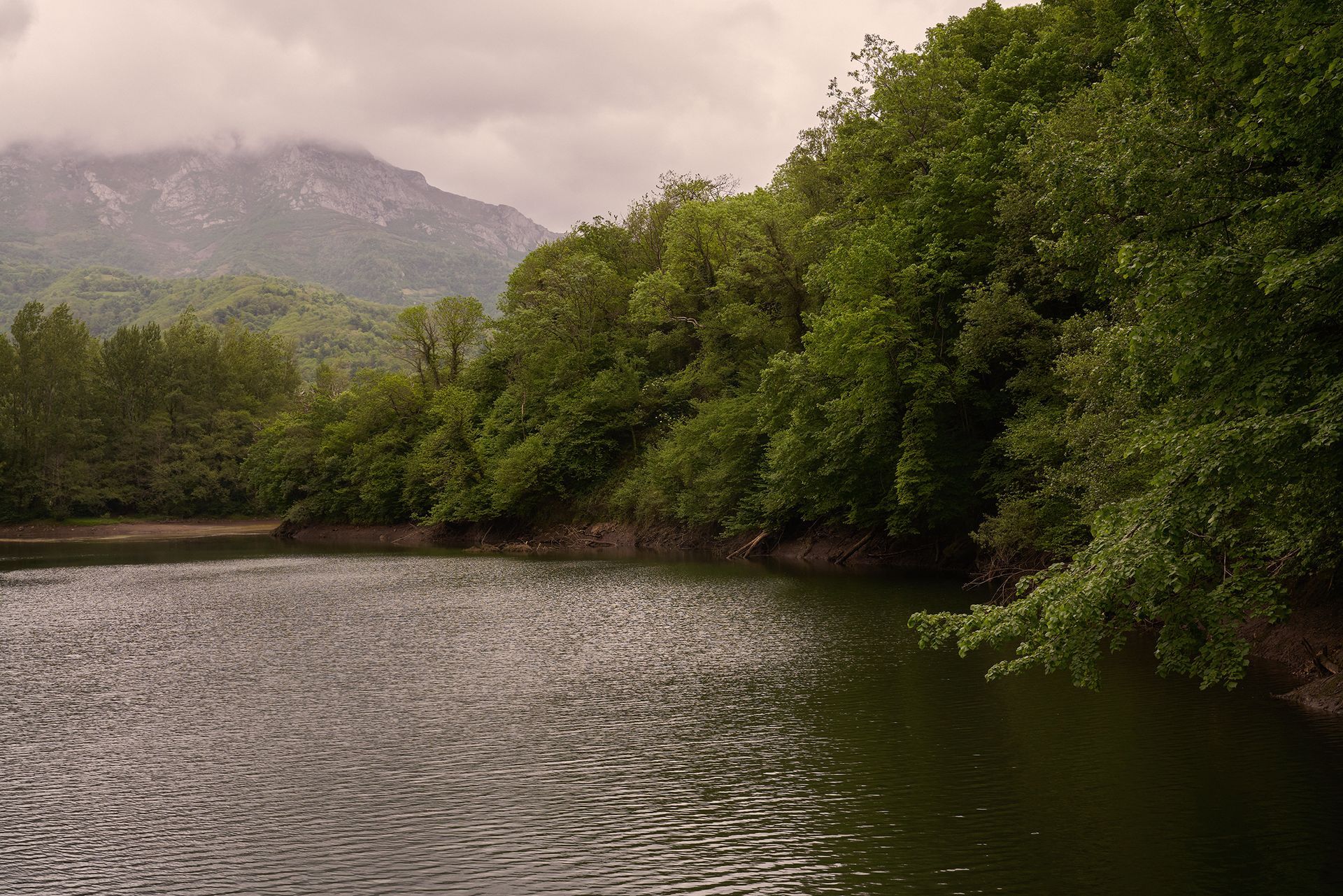 Calm lake surrounded by green trees with a mountain in the background under a cloudy sky.