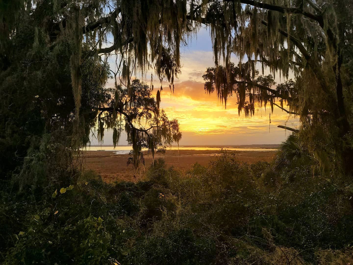 Nature sights in Gainesville, FL captured by Susannah Peddie, owner of StayGainesville.com.