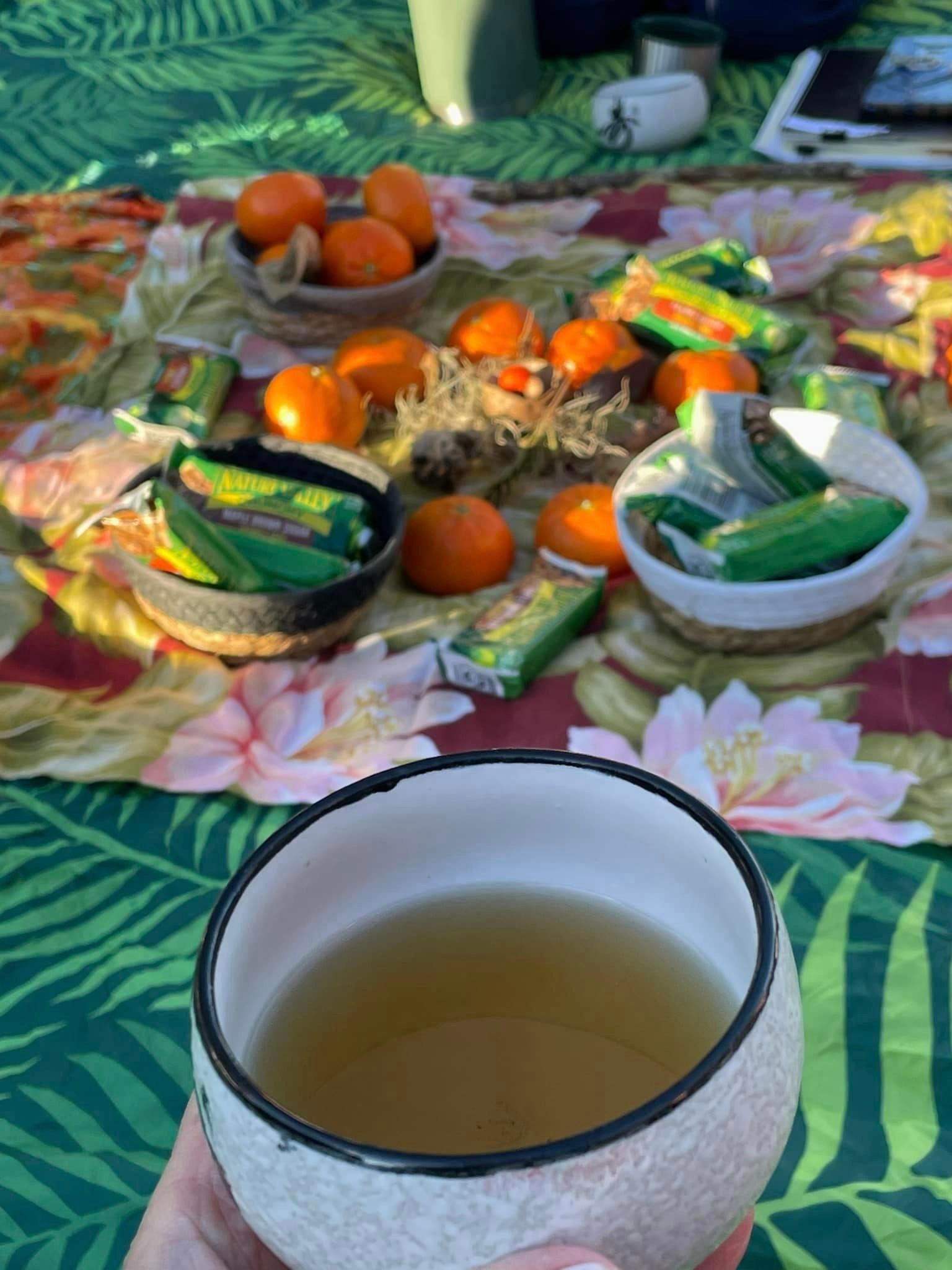 Power of the Pause Retreat with Marcella Scherer at The Laurel Oak Inn and The Camellia Rose Inn. 