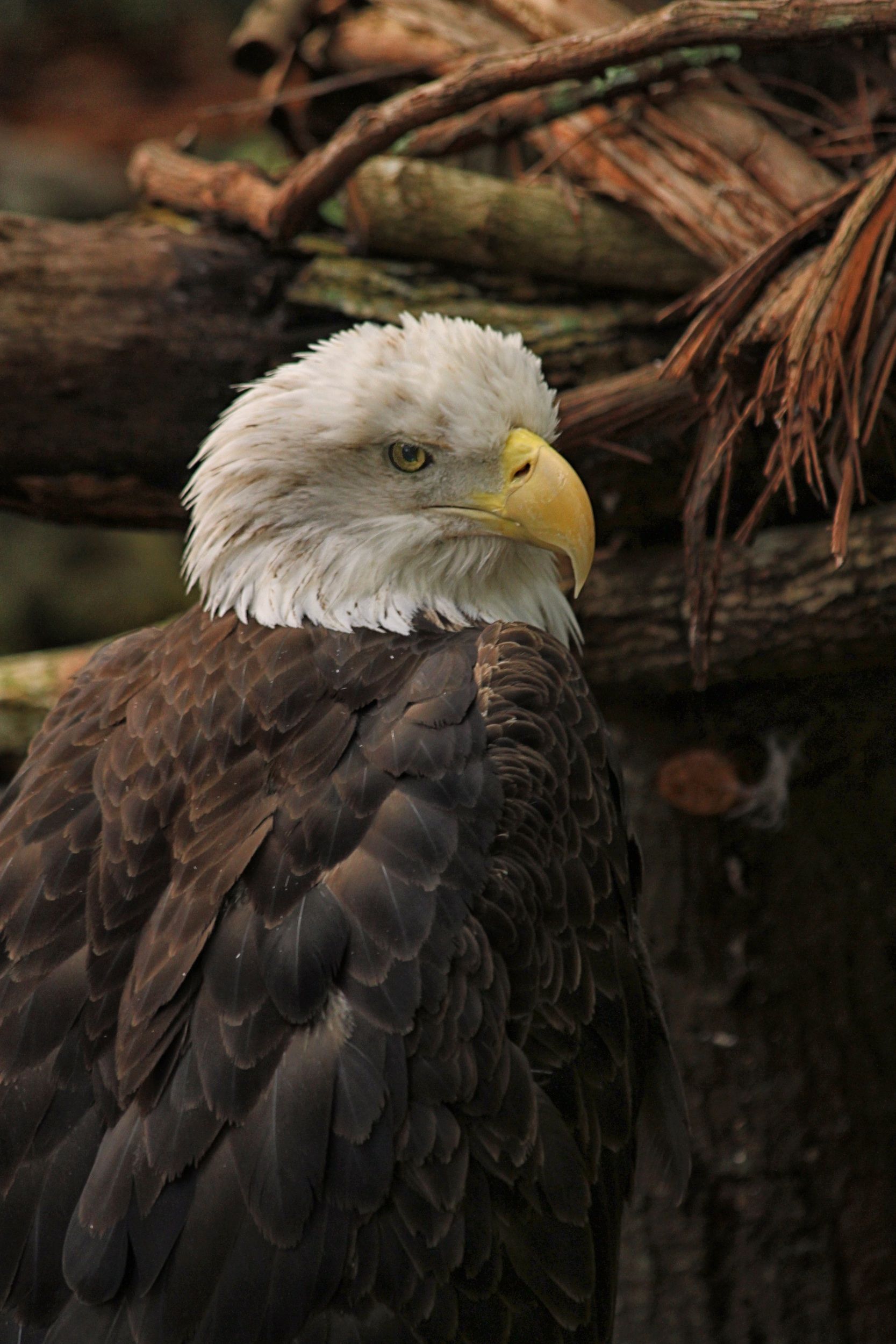 Santa Fe Zoo by StayGainesville