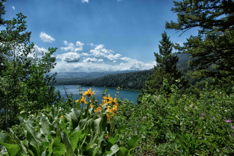 More hiking in Wyoming