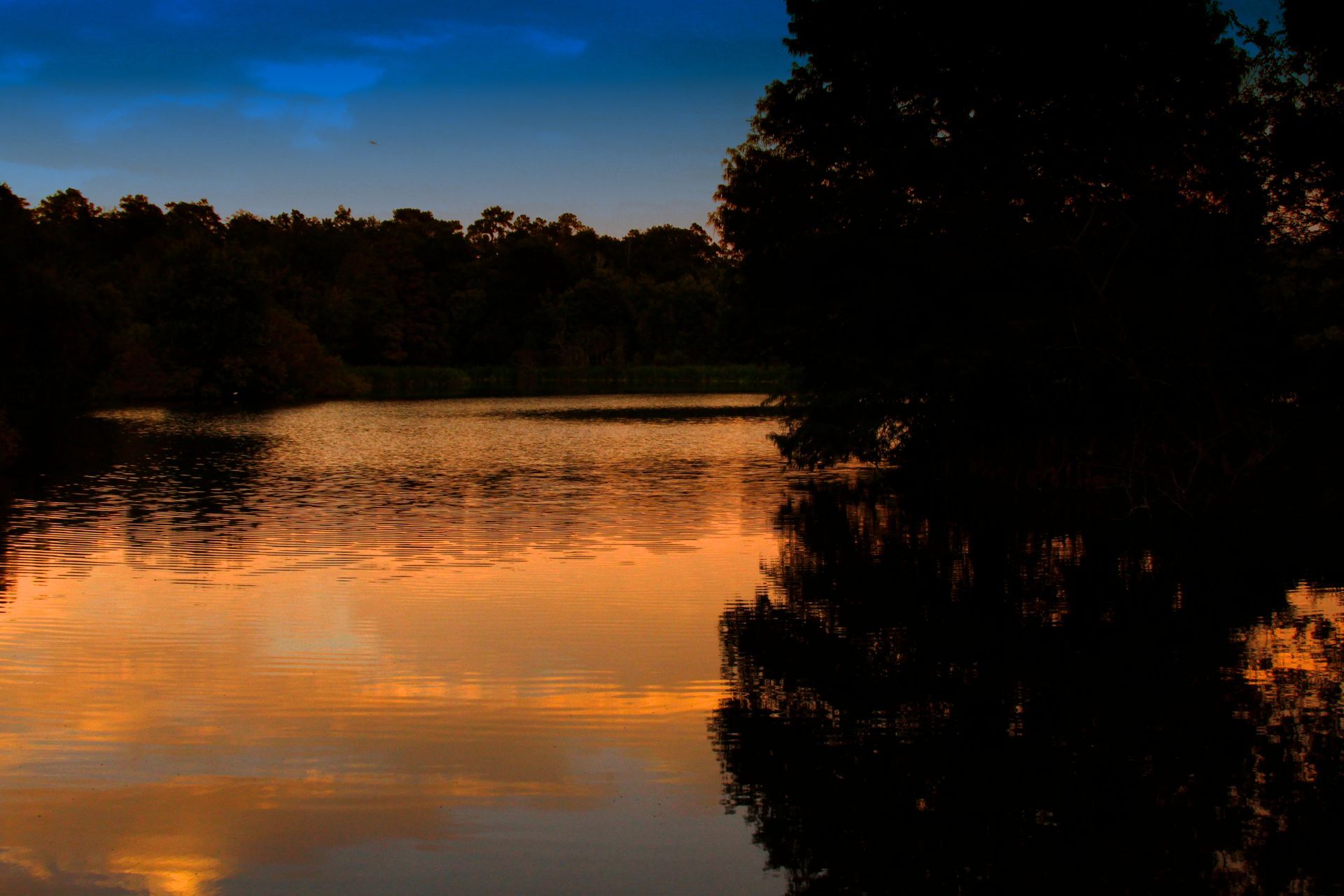Sunset with Gator Colors